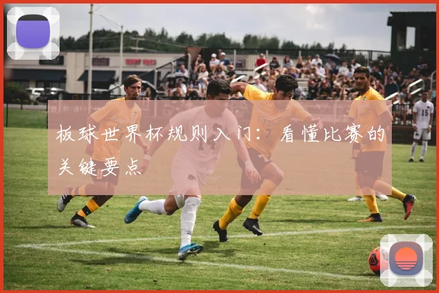 板球世界杯规则入门:看懂比赛的关键要点