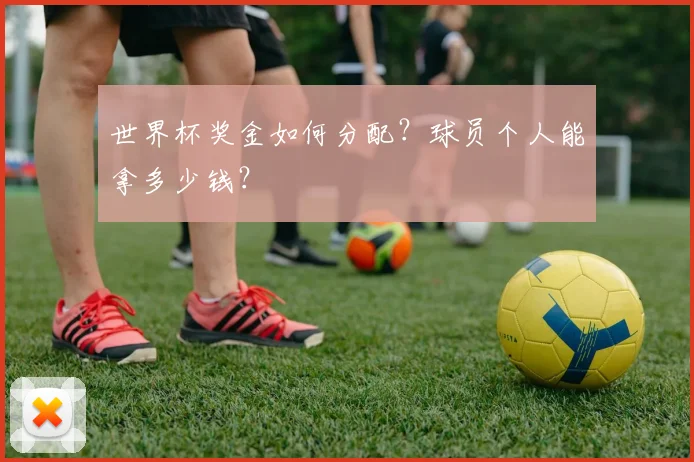 世界杯奖金如何分配？球员个人能拿多少钱？