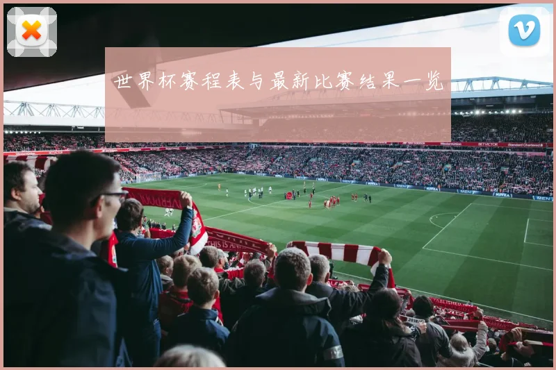世界杯赛程表与最新比赛结果一览